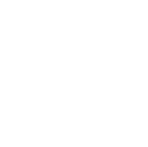 4Life Idiomas